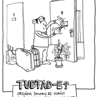 A városközponti hajléktalanság csak a jéghegy csúcsa