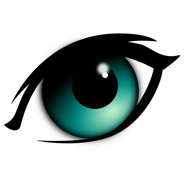 eye-149604_640.png