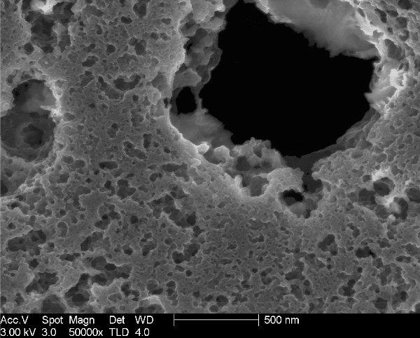activated carbon under electron microscope 2.jpeg