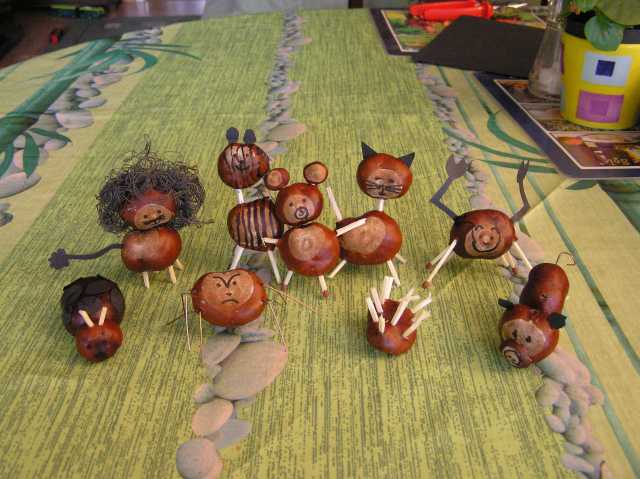 201209227.jpg