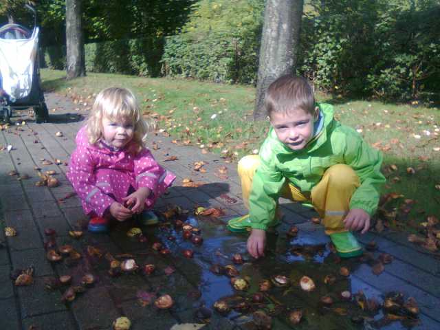 201210041.jpg
