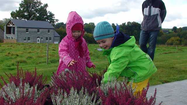 201210062.jpg