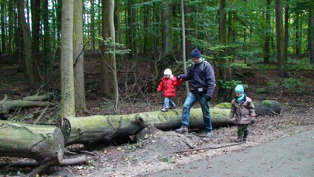 201210142.jpg