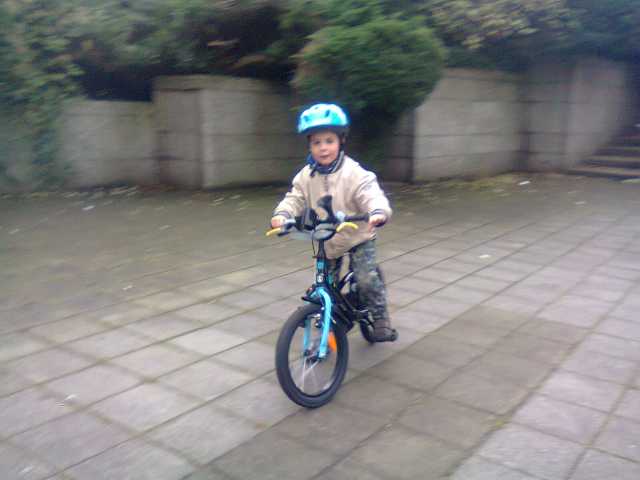 201211101.jpg