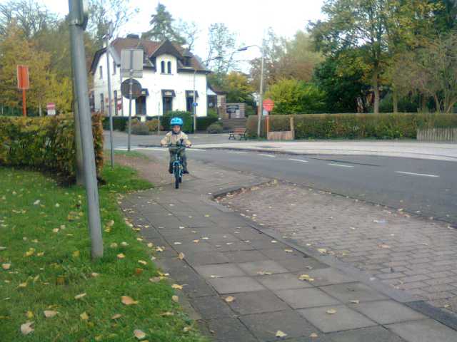 201211102.jpg