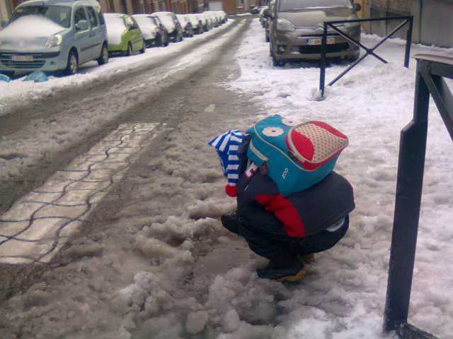 201303122.jpg