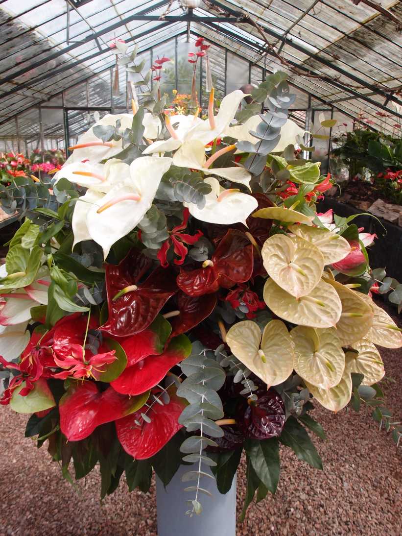 201304143.jpg