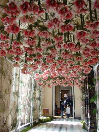 201305015.jpg