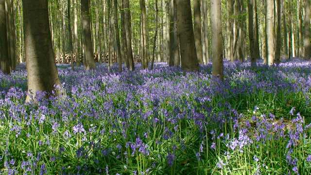 201305048.jpg