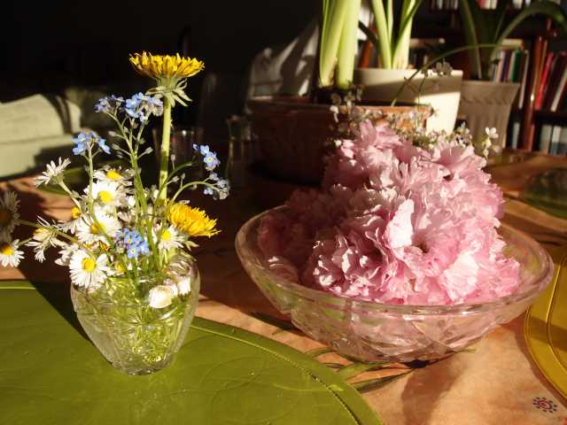 201305085.jpg