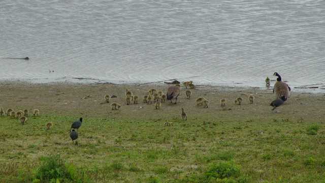 201305125.jpg