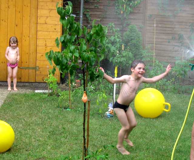 201307189.jpg