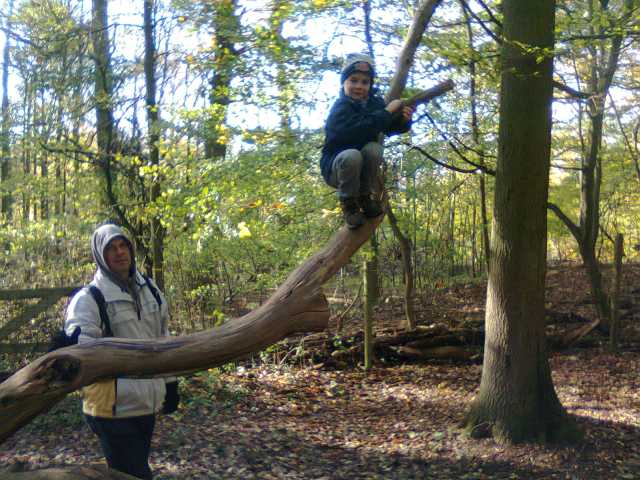 201311094.jpg