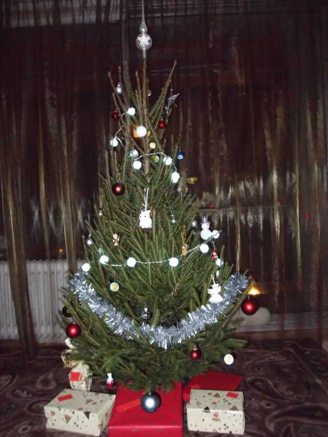 201312211.jpg