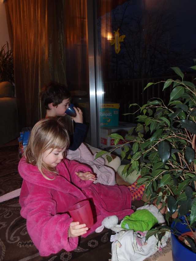 201402081.jpg