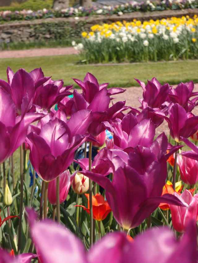 201404134.jpg
