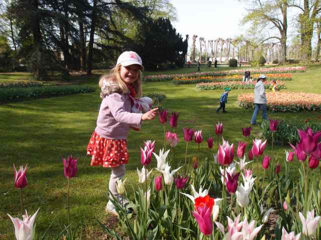 201404135.jpg