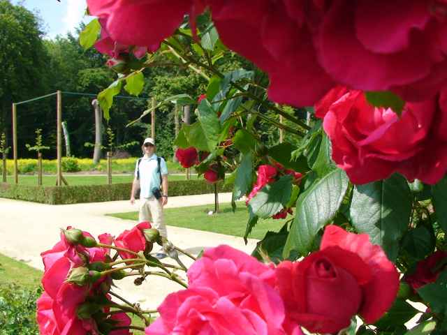 201406017.jpg