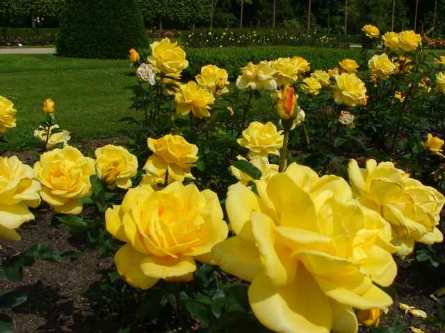201406019.jpg