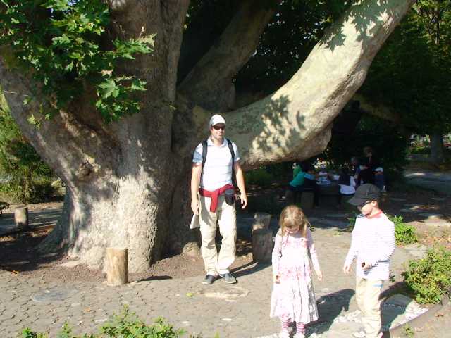 201410067.jpg
