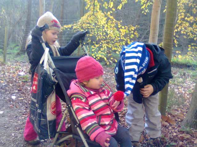 201411114.jpg