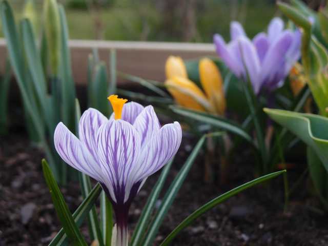 201504092.jpg