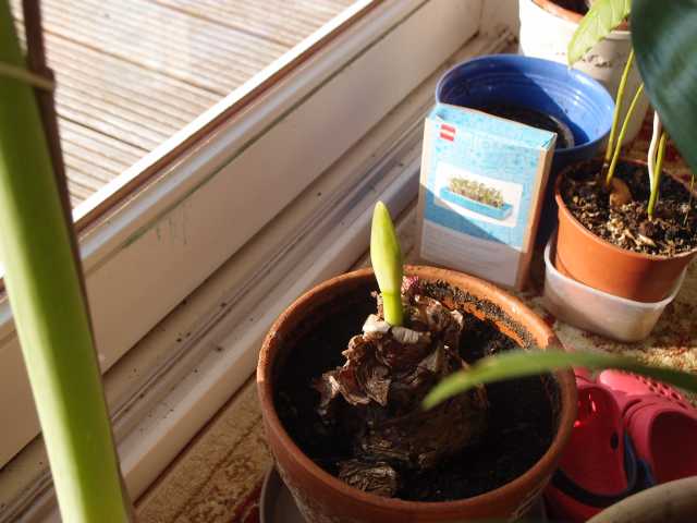 201504094.jpg
