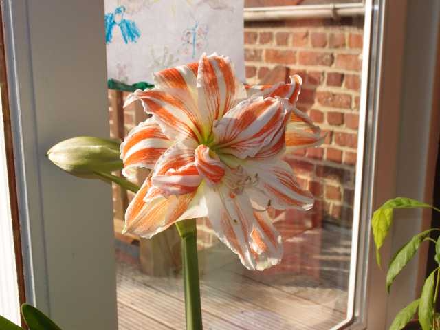 201504095.jpg