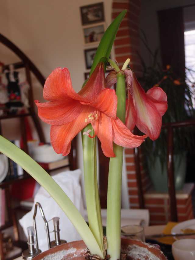 201504096.jpg
