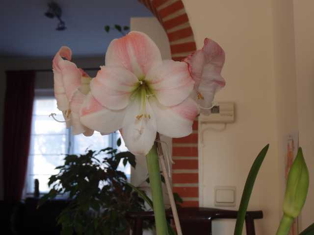 201504097.jpg