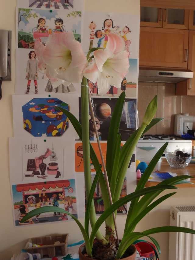 201504098.jpg