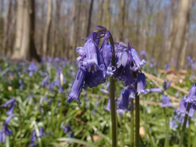 201504193.jpg