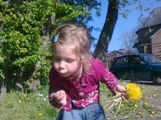201504212.jpg