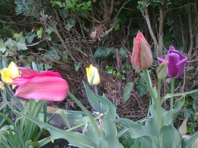 201504274.jpg