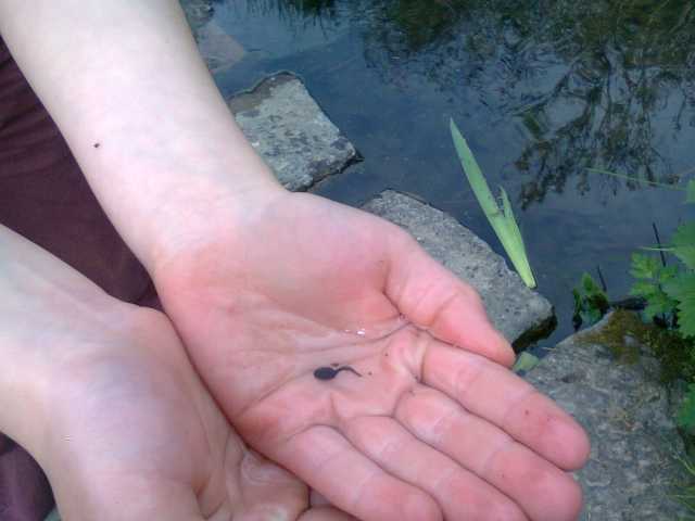 201505054.jpg