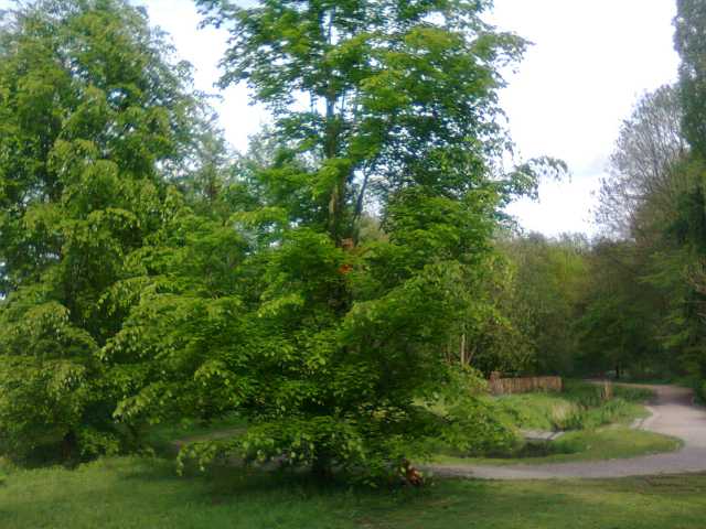 201505055.jpg