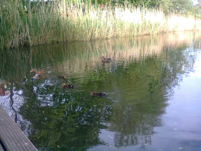 201505057.jpg