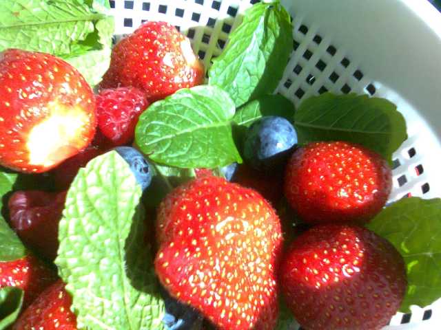 201505094.jpg