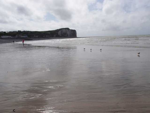 201505146.jpg