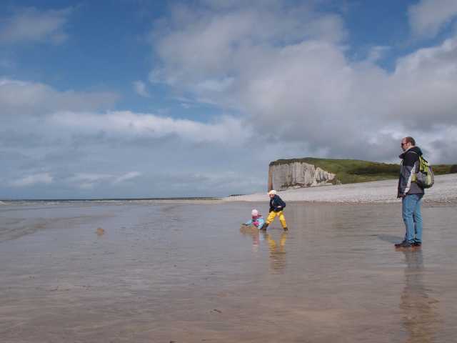 201505147.jpg