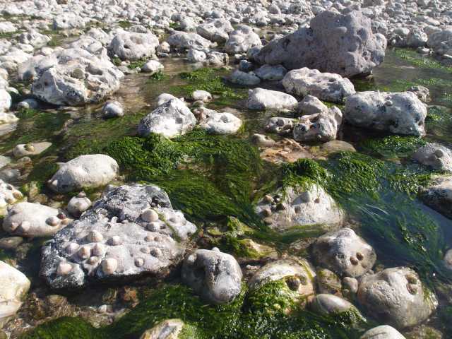 2015051611.jpg