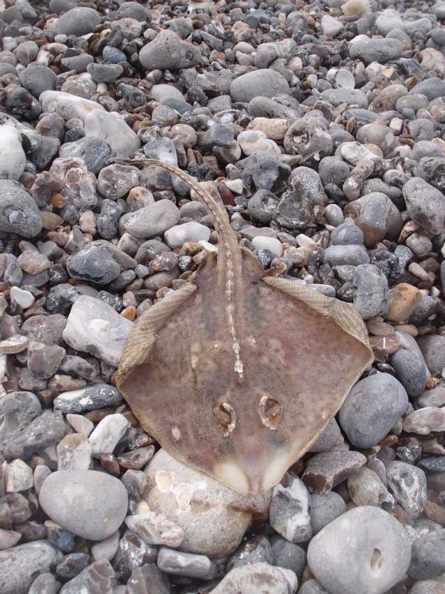 2015051626.jpg
