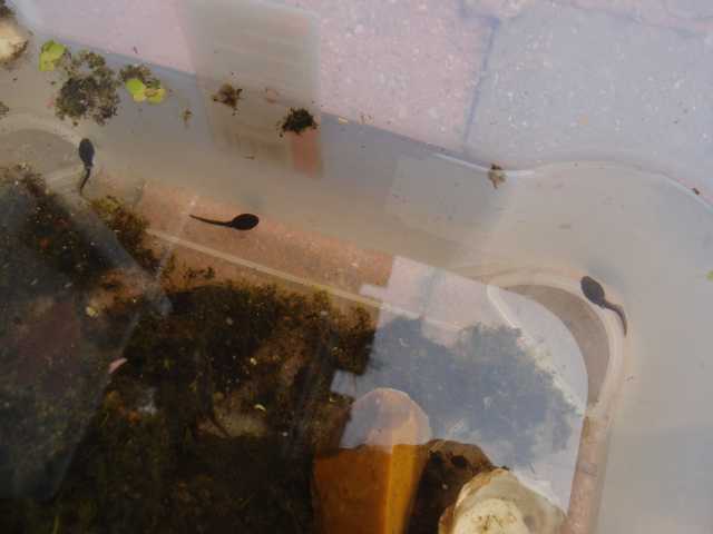 2015052311.jpg