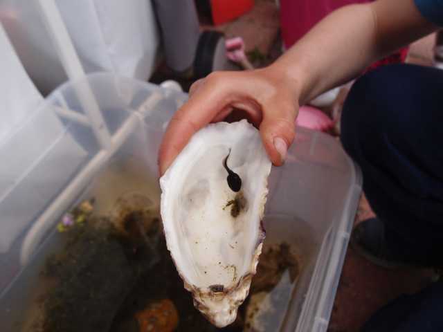 2015052312.jpg