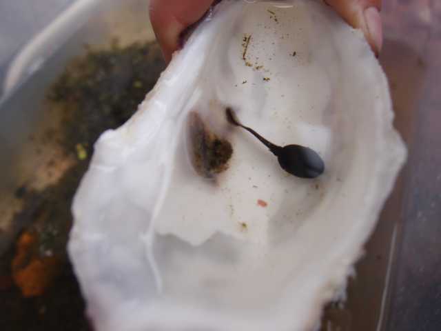 2015052313.jpg