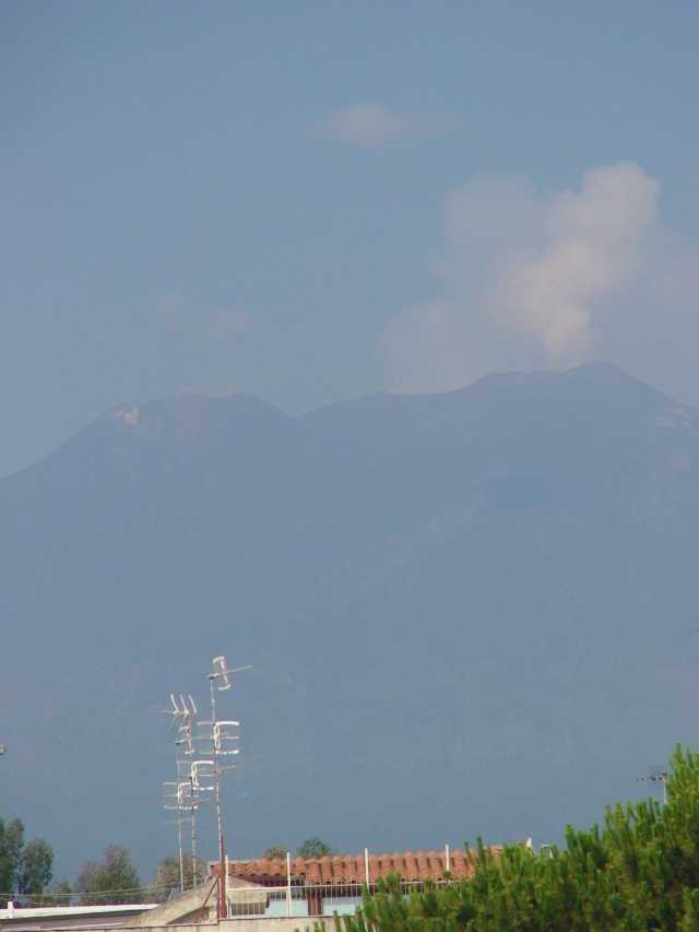 201507084.jpg