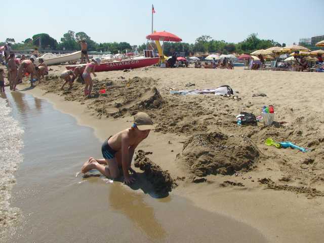 201507087.jpg