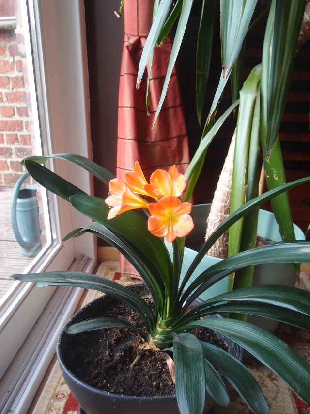 201507281.jpg