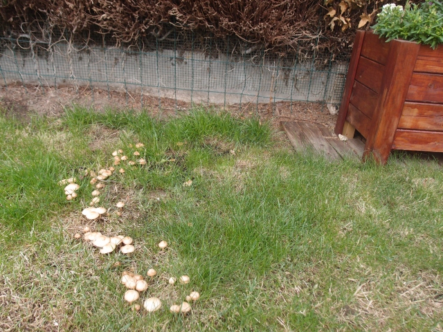 201507282.jpg