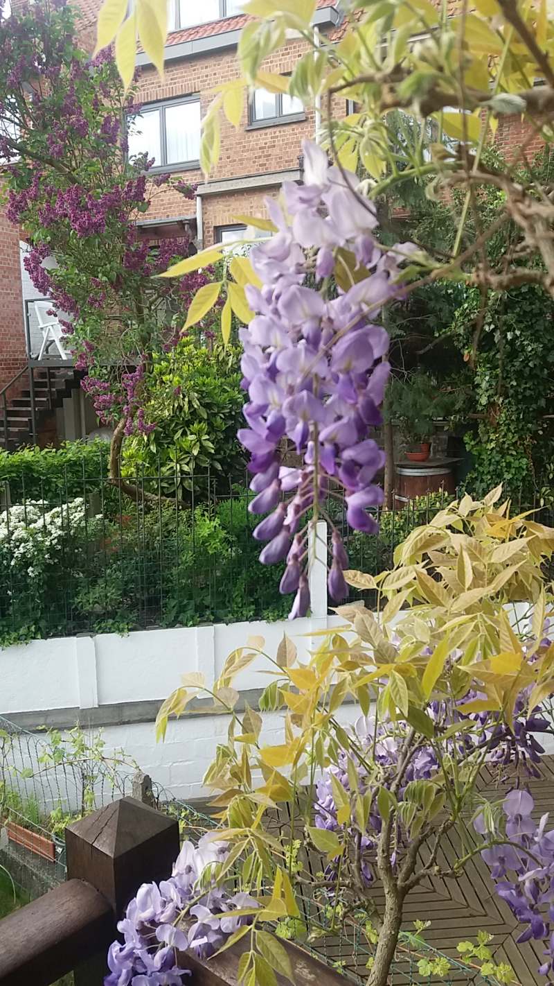 20180427_182049_1.jpg
